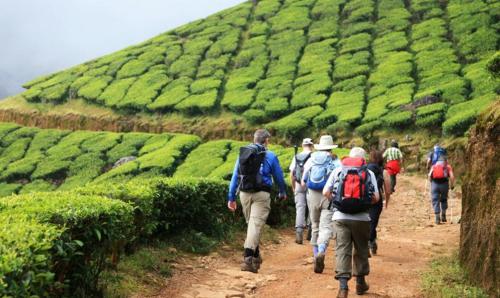 Kolukkumala Trekking