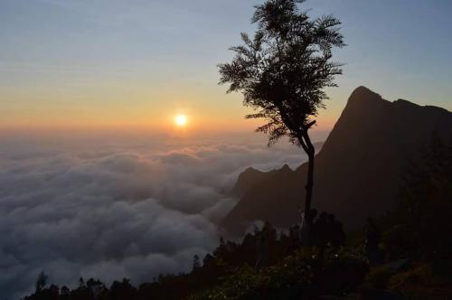 Kolukkumalai